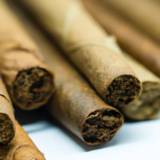 little cigars or cigarillos